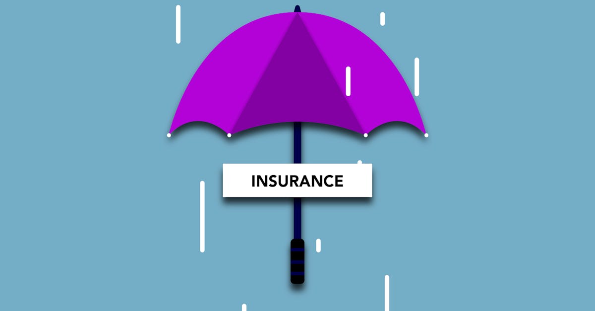 découvrez protect plus insurance, votre partenaire idéal pour des solutions d'assurance personnalisées qui protègent vos biens et votre avenir. bénéficiez d'une couverture complète et d'un service client exceptionnel pour une tranquillité d'esprit assurée.