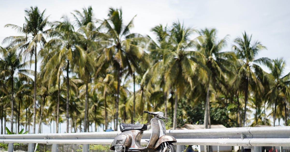 découvrez notre assurance scooter complète et abordable, adaptée à vos besoins. protégez votre véhicule et profitez de la tranquillité d'esprit sur la route grâce à nos garanties sur mesure.